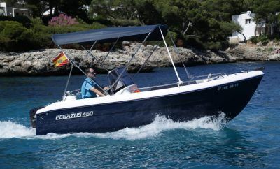 Pegazus 460 61